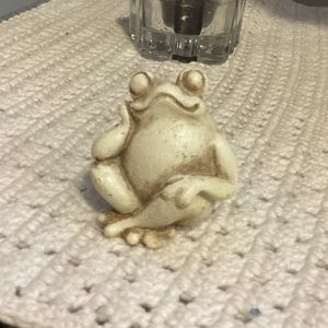 Cute little frog